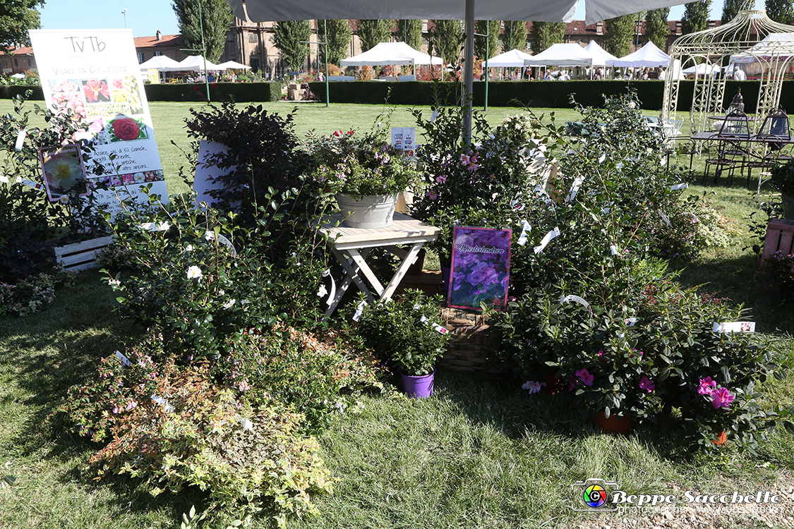 VBS_2384 - FloReal 2021 alla Palazzina di Caccia di Stupinigi.jpg